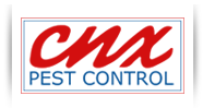 logo cnxpest